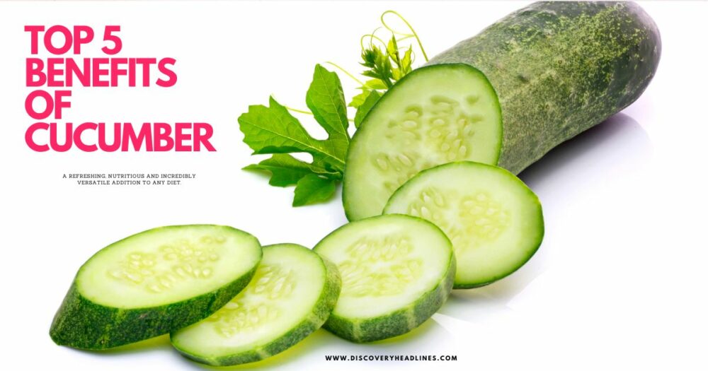 Top 5 Benefits of Cucumber Discovery Headlines